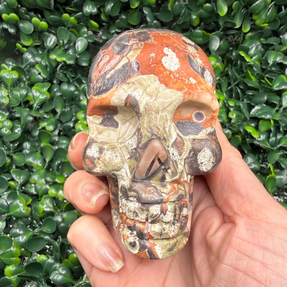 Money Agate (Indonesian Bloodstone) Skull Carving - Picture 7 of 8